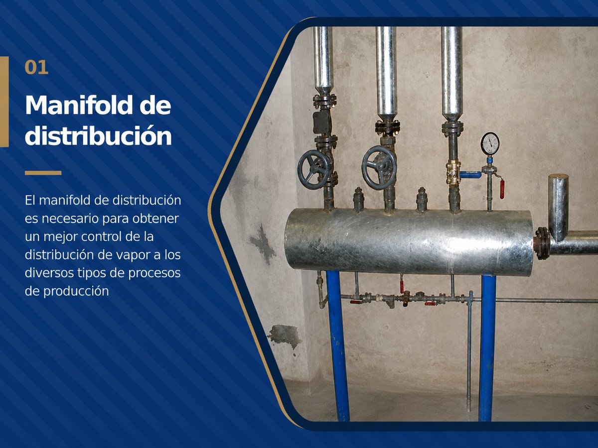 Manifold de distribución